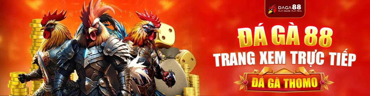 Sân đấu đá gà trực tuyến sôi động tại gg8815 Trang chủ